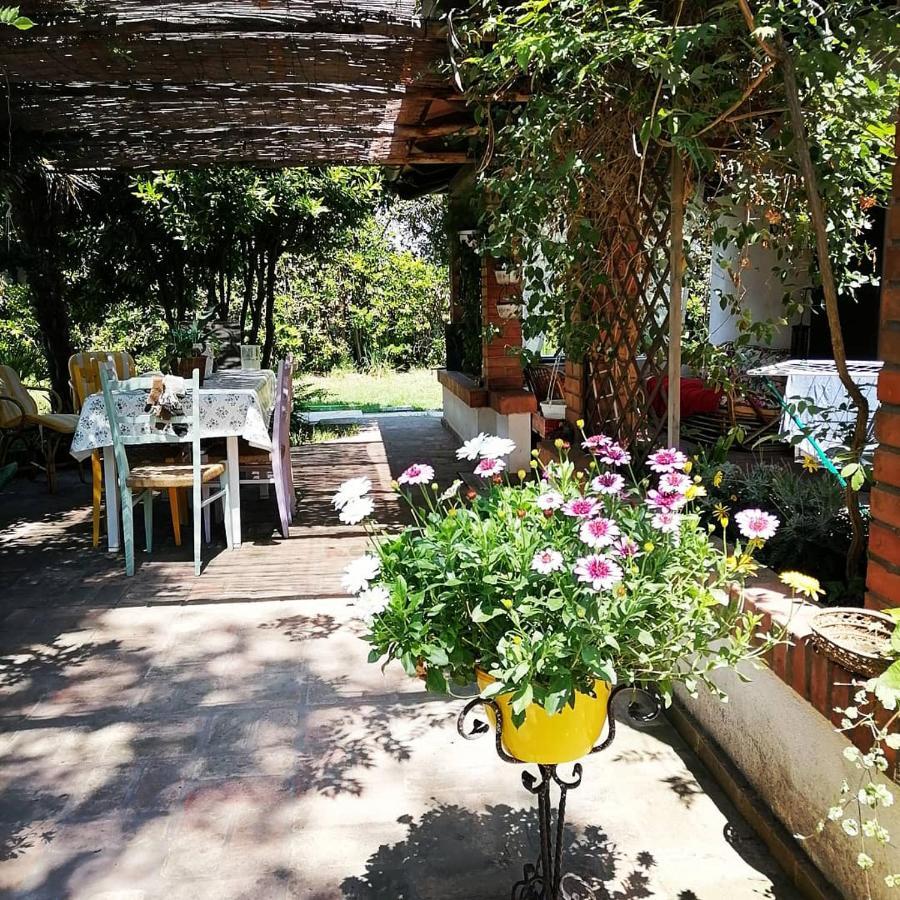 La Bricola Hotel Cavallino-Treporti Buitenkant foto