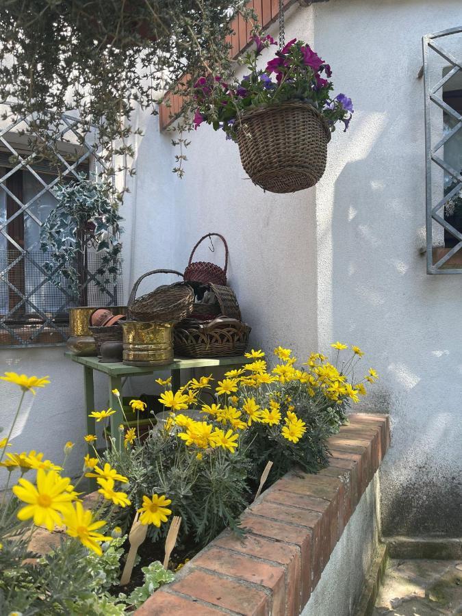 La Bricola Hotel Cavallino-Treporti Buitenkant foto